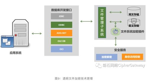 一文讀懂十大數據存儲加密技術